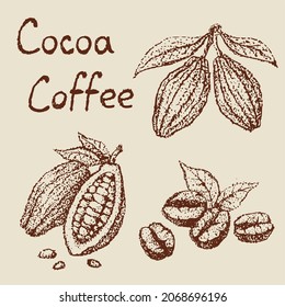 Cocoa beans and coffee beans	
