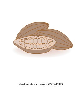 Cocoa beans in a cut on a white background