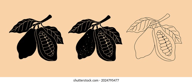 Granos de cacao dibujados con una línea. Establecer. Vector.