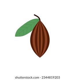 cocoa beans flat design vector illustration. kakao fruit