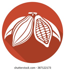 cocoa beans flat icon