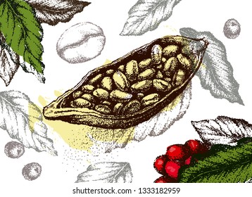 Cocoa beans freehand drawing, chocolate fruit, vector illustration, invigorating ingredient cocoa drink. Decorative retro design, print, card, banner. Vintage coffee frame.