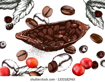 Cocoa beans freehand drawing, chocolate fruit, vector illustration, invigorating ingredient cocoa drink. Decorative retro design, print, card, banner. Vintage coffee frame.