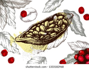 Cocoa beans freehand drawing, chocolate fruit, vector illustration, invigorating ingredient cocoa drink. Decorative retro design, print, card, banner. Vintage coffee frame.