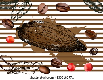 Cocoa beans freehand drawing, chocolate fruit, vector illustration, invigorating ingredient cocoa drink. Decorative retro design, print, card, banner. Vintage coffee frame.