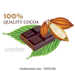 Cocoa beans with green With tile of black chocolate