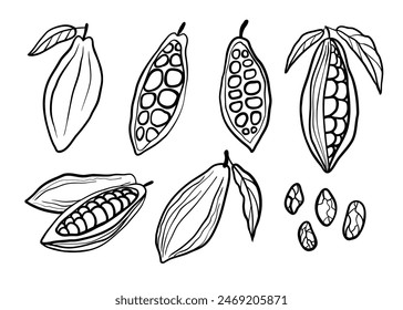 Cocoa beans hand drawn set. Black vector line illustration collection isolated on white background.