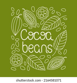 Granos de cacao. Escritura a mano, letras. Frutas y granos de bacalao. Ilustración del vector de dibujo manual