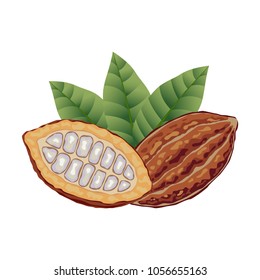 Cocoa beans. An icon for a brochure, banner, restaurant menu. illustration.