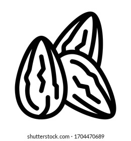 cocoa beans icon vector. cocoa beans sign. isolated contour symbol illustration