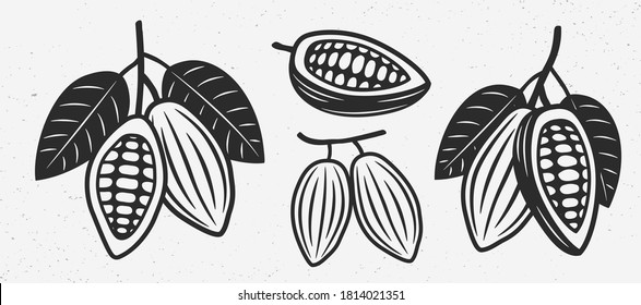 Cocoa beans icons. Vintage cocoa beans set. Chocolate logo. Vector illustration