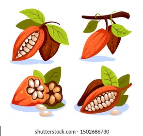 Cocoa beans illustration cartoon style. Chocolate cocoa beans tree.  Composition of Cocoa, design template for emblems. Cacao plant. Vector illustration