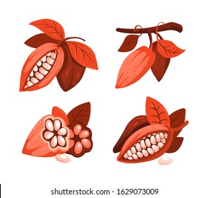 Cocoa beans illustration cartoon style. Chocolate cocoa beans tree.  Composition of Cocoa, design template for emblems. Cacao plant. Vector illustration in cartoon style, monochrome color.