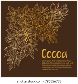 Cocoa beans illustration. Chocolate cocoa beans. 