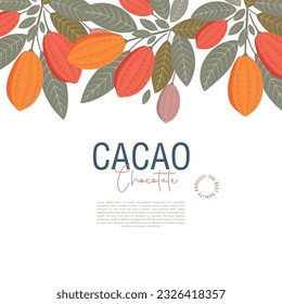 Cocoa beans illustration. Chocolate cocoa beans. Vector illustration