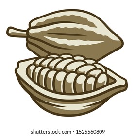 Cocoa beans illustration. Fruits of cocoa beans. Vector illustration