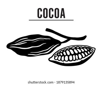 Cocoa beans illustration. hocolate cocoa beans. vector illustration isolated on white background