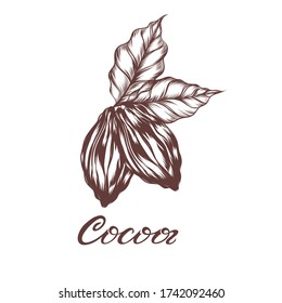 cocoa beans and cocoa inscription executed strokes in retro style