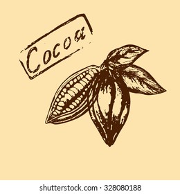 cocoa beans and cocoa inscription executed strokes in retro style
