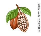 Cocoa beans isolated on white background. Logo template. Cacao beans. Design elements. Vector illustration