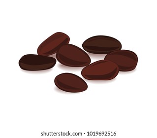 Cocoa beans Isolated on white background.
