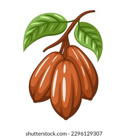 Granos de cacao aislados de fondo blanco. Plantilla de logotipo. Granos de cacao. Elementos de diseño. Ilustración del vector