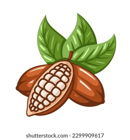 Cocoa beans isolated on white background. Logo template. Cacao beans. Design elements. Vector illustration