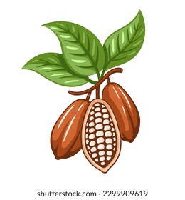 Cocoa beans isolated on white background. Logo template. Cacao beans. Design elements. Vector illustration