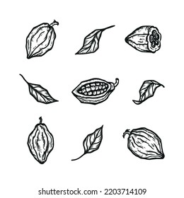 Cocoa Beans and Leaves Icons Vector Set. Cacao Pods. Raw Fruits Hand drawn Engraving illustration. Great for Packaging design of cocoa powder or chocolate.