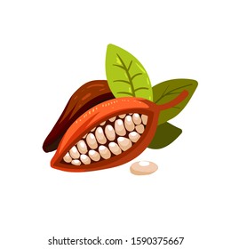 Cocoa beans with leaves isolated illustration, cartoon style. Сhocolate tree fruit, cocoa beans icon. Composition of Cocoa, design element for cover, banner, package. Cacao sign. 