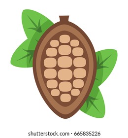 Cocoa beans with leaves isolated on white background, vector illustration.