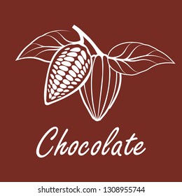 Cocoa beans with leaves on brown background. Vector illustration.
