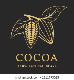 Cocoa beans with leaves on dark background. Cacao logo. Vector illustration.