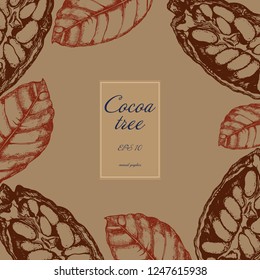 cocoa beans and leaves, vector illustration on brown background, engraving