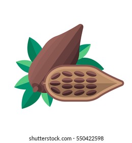 Cocoa beans and leaves vector illustration. Superfood cacao icon. Healthy detox natural product. Flat design organic food.