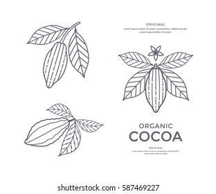 Cocoa Beans Line Icon Or Emblem. Sign For Cacao Powder. Vector Illustration