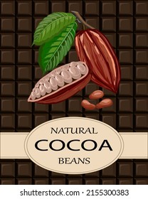 Cocoa beans on a chocolate bar.Vector illustration with cocoa beans and framed text on a chocolate bar.