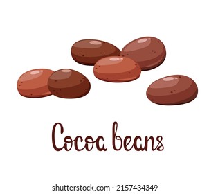 Granos de cacao con fondo blanco. Ilustración vectorial.

