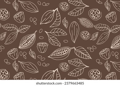 cocoa beans organic background outline on brown