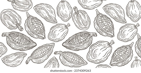 Cocoa beans. Cocoa pattern background. Floral ornament. Hand drawn vector sketch.