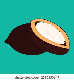 Cocoa beans with pods isolated on a color background vector illustration. Cocoa pod. Fresh cocoa fruit, half sliced cacao pod with cacao beans inside. Trendy Flat logo. EPS 10