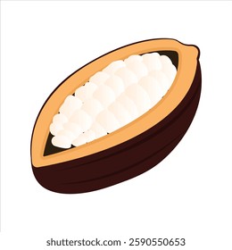 Cocoa beans with pods isolated on a color background vector illustration. Cocoa pod. Fresh cocoa fruit, half sliced cacao pod with cacao beans inside. Trendy Flat logo. EPS 10