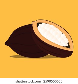 Cocoa beans with pods isolated on a color background vector illustration. Cocoa pod. Fresh cocoa fruit, half sliced cacao pod with cacao beans inside. Trendy Flat logo. EPS 10