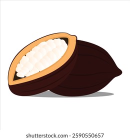 Cocoa beans with pods isolated on a color background vector illustration. Cocoa pod. Fresh cocoa fruit, half sliced cacao pod with cacao beans inside. Trendy Flat logo. EPS 10