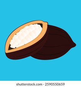 Cocoa beans with pods isolated on a color background vector illustration. Cocoa pod. Fresh cocoa fruit, half sliced cacao pod with cacao beans inside. Trendy Flat logo. EPS 10