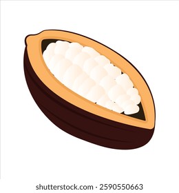 Cocoa beans with pods isolated on a color background vector illustration. Cocoa pod. Fresh cocoa fruit, half sliced cacao pod with cacao beans inside. Trendy Flat logo. EPS 10