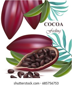 Cocoa beans realistic detailed Vector exotic