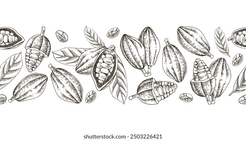 Cocoa beans seamless border vector