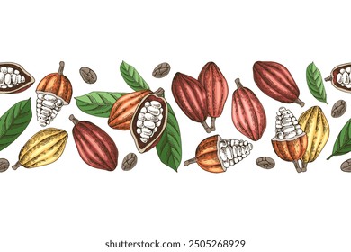 Cocoa beans seamless border vector