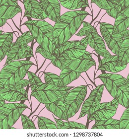 Cocoa beans seamless pattern. Cocoa tree illustration. Engraved style illustration. Chocolate cocoa beans. Vector illustration